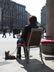Poland: Enjoying Krakow market square with dog